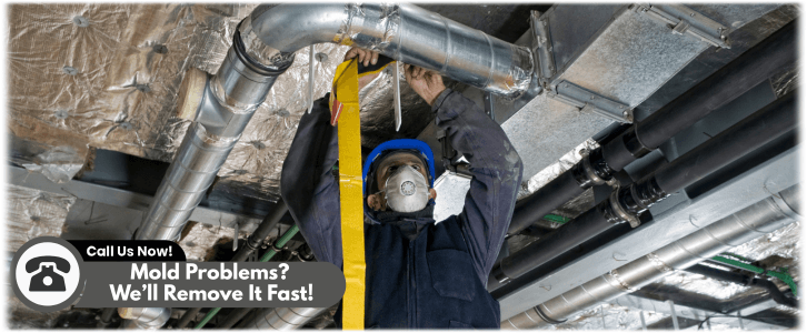 Air Duct Mold Removal in Fort Worth