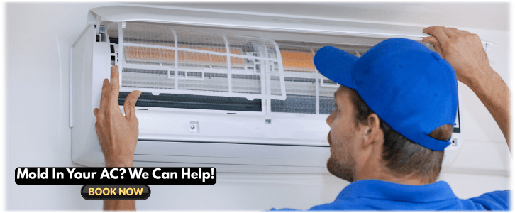 HVAC Mold Removal Fort Worth